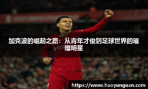 智博19有限公司